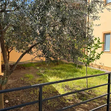 Olivea טיראנה